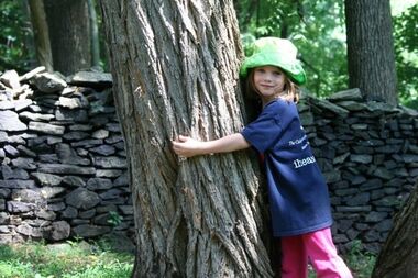 young treehugger