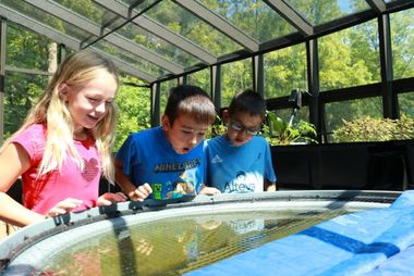 riverbend aquaponics