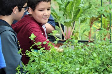 home page rotation aquaponics