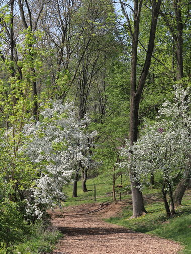 valley view trail