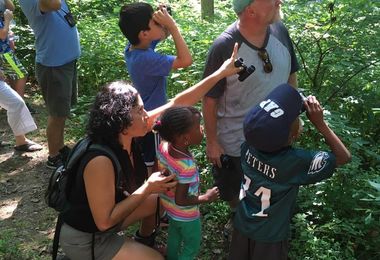 birding and bagles