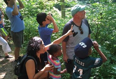 birding and bagles