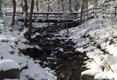 winter stream