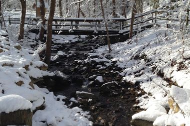 winter stream