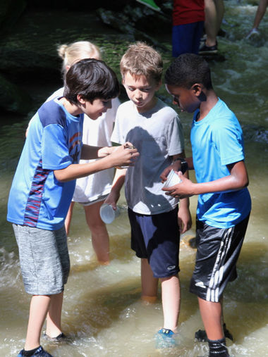 fieldtrips boysinstream