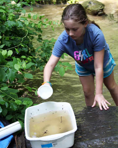 fieldtrips girlwsample