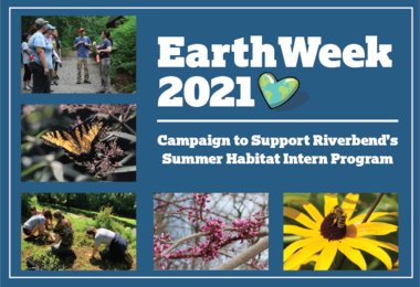 rb earthweek webhero 01