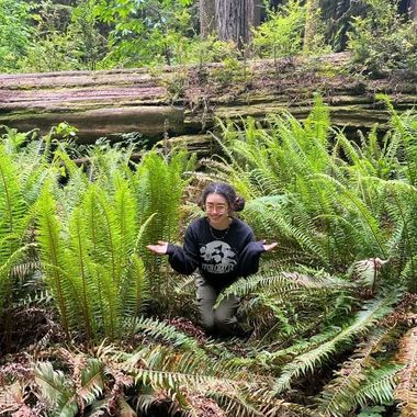 ferns bio pic