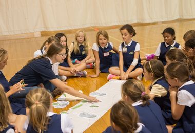 ais field trip olivia han