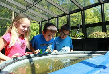 aquaponics image 0 0 1024 683 full